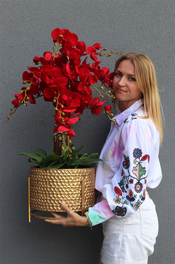 Miłość 2, karminowy welurowy storczyk, wys.75cm 