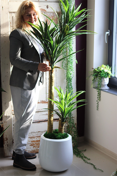 Juka Fiberglass, sztuczna roślina w donicy, wys.166cm 