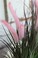 kompozycja z trawami w białej donicy, Pianisto, wys.45cm