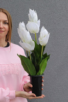 Clear Design Medinilla, nowoczesny bukiet nagrobny we wkładzie