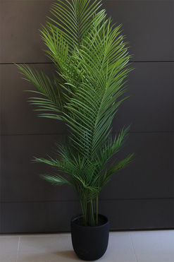 Haiti Volcan, sztuczna palma w czarnej donicy, wys.130cm