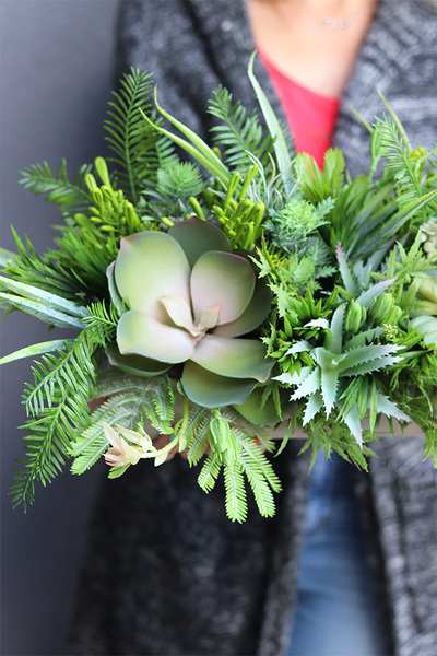 kompozycja sukulenty w długiej donicy, Hektor F