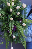 Hollandia Morelia, girlanda nagrobna na desce