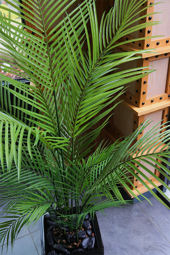 Palma Fiberglass, sztuczna roślina w czarnej donicy