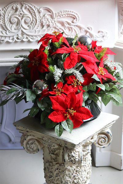 Gwiazda Betlejemska, kompozycja nagrobna w naczyniu