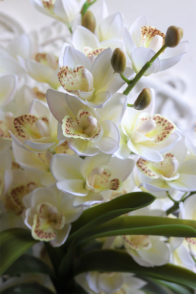 Nevile, sztuczny storczyk w metalowej osłonce