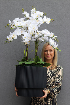 Design House, sztuczny storczyk w szarej donicy, wys.116cm 