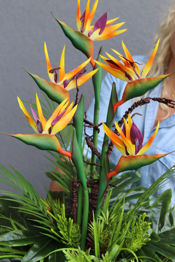 Strelicja Gold, kompozycja w złotej donicy