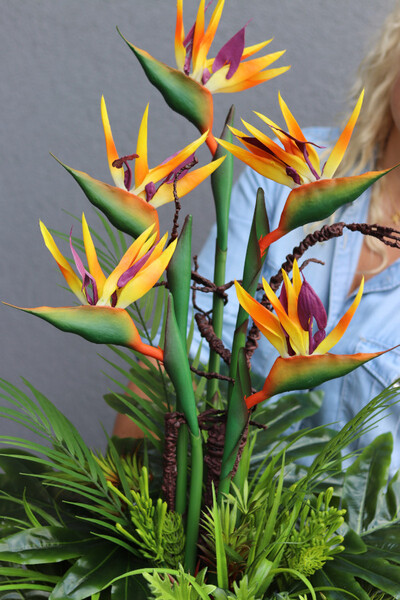 Strelicja Gold, kompozycja w złotej donicy