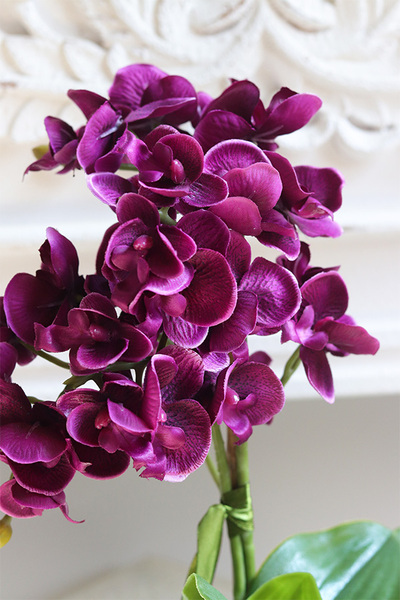 Mini Piano Silver Purple, sztuczny storczyk w lustrzanej donicy