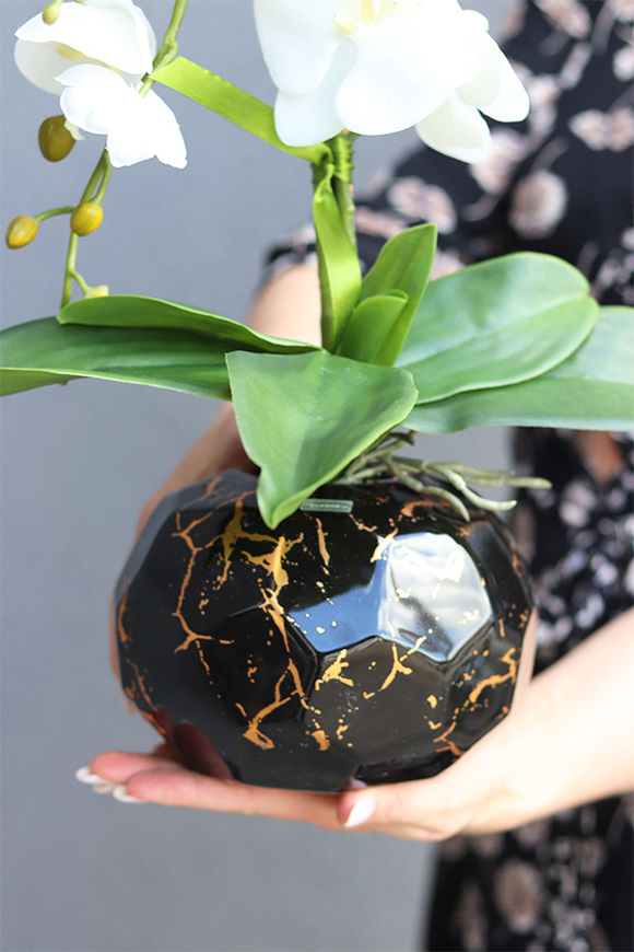 Abigail 2, storczyk w złoto-czarnej donicy, wys.50cm 