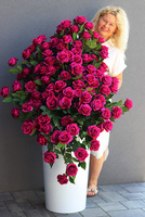 Maria Kallas, podłogowa dekoracja kwiatowa