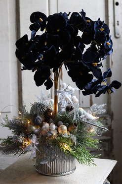dekoracja świąteczna ze storczykiem, Velurro Navy, wys.56cm