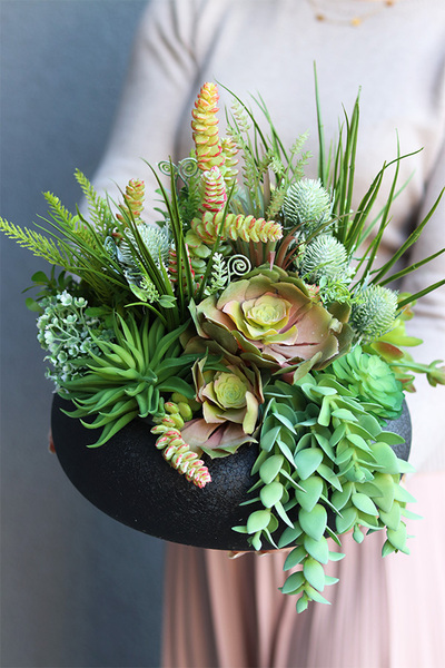 Aldara, kompozycja z sukulentami w donicy na stojaku