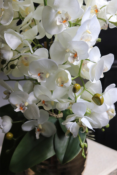 Nediata Gold, sztuczny storczyk w złotej donicy