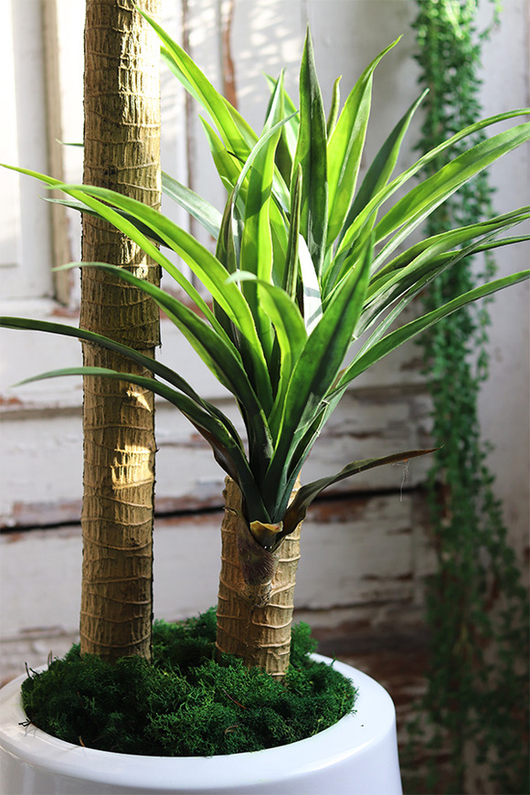 Juka Fiberglass, sztuczna roślina w donicy, wys.166cm