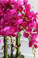 bardzo duży storczyk fiberglass, Grande Belezza Fuksja, wys.95cm 