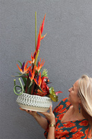 Strelicja Papuga, egzotyczna kompozycja w donicy