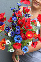 Mazowsze Polonia, bukiet z polnych kwiatów