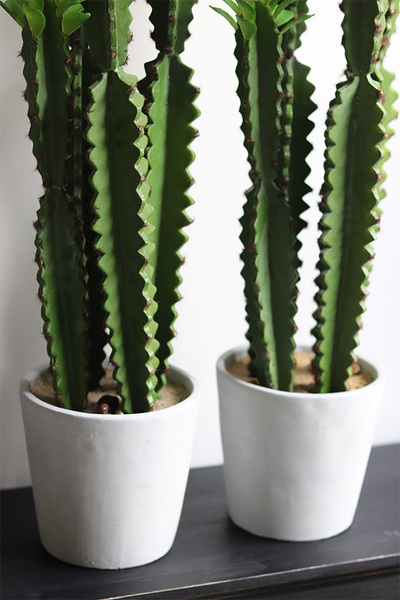 Kaktus Spain, sztuczna roślina