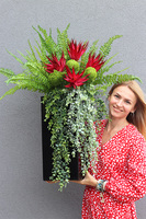 Red Flowers Paline, sukulenty w czarnej donicy