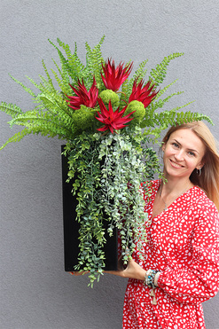 Red Flowers Paline, sukulenty w czarnej donicy, wys.90cm 