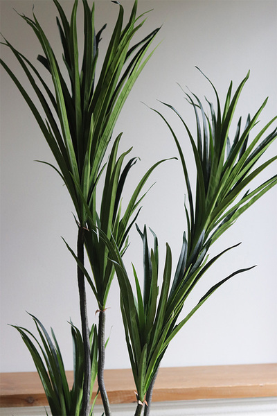 Dracena Goldigo, sztuczna roślina w doniczce