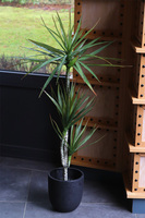 Dracena Volcan, sztuczna roślina w doniczce