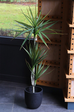 Dracena Volcan, sztuczna roślina w doniczce, wys.105cm