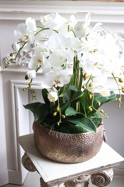 Medita, sztuczny storczyk w złotej misie