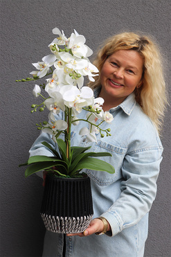 Bond Small, storczyk w sznurkowej doniczce, wys.62cm