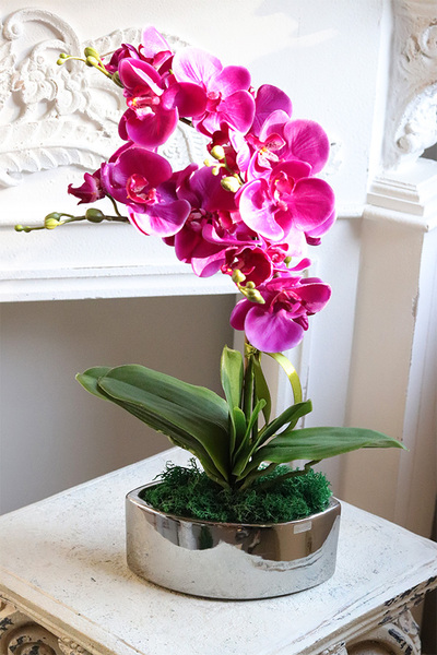 Fuksja Manfredo Helga 2, sztuczny storczyk w naczyniu glamour