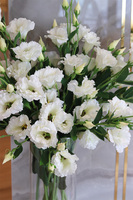 Eustoma Secret of Flowers, bukiet kwiatów do wazonu