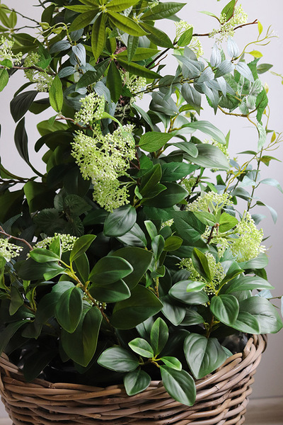 New Green Bahama, drzewko sztuczne kolumnowe w donicy