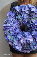 Hortensje Violet, wianek na drzwi z hortensji
