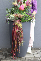 Fiberglass Moko Grey 2, ekskluzywna kompozycja w szarej donicy