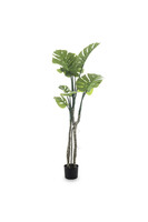 Monstera E, sztuczne drzewko w osłonce / donicy, wym.140x50x50cm