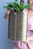 Złota Kraina Lux 2, storczyk w złotej owalnej osłonce