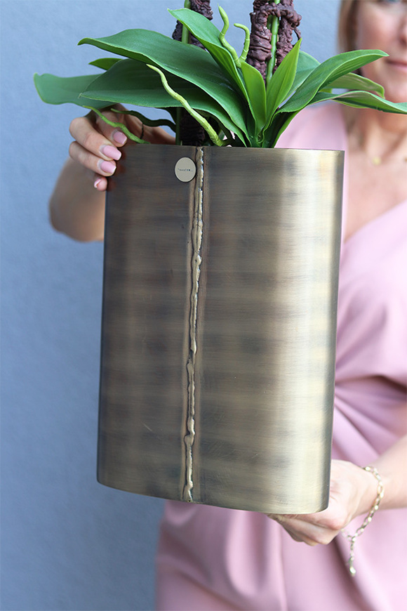 Złota Kraina Lux 2, storczyk w złotej owalnej osłonce