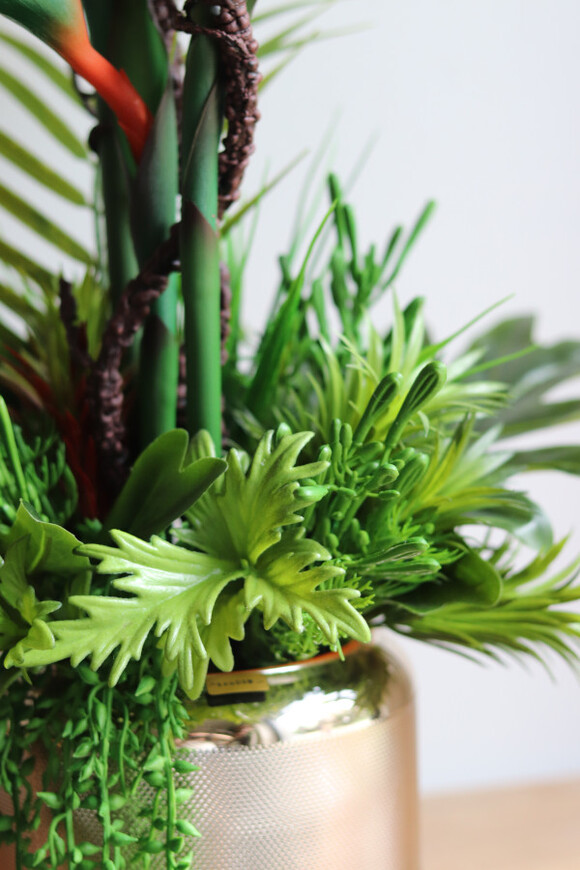 Strelicja Salise Gold, kompozycja w szklanej osłonce