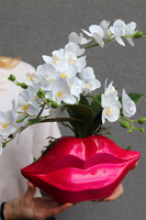 Usta Usta, storczyk w ozdobnej donicy