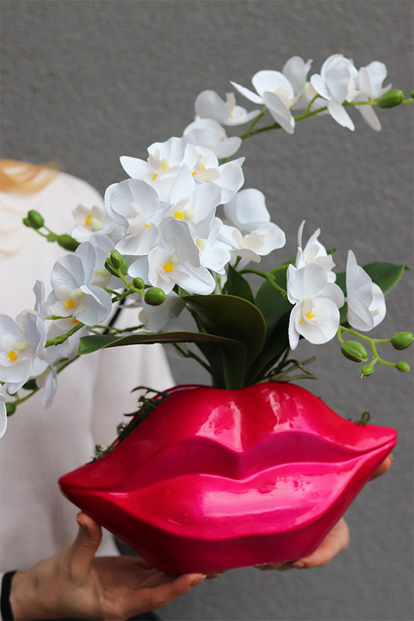 Usta Usta, storczyk w ozdobnej donicy