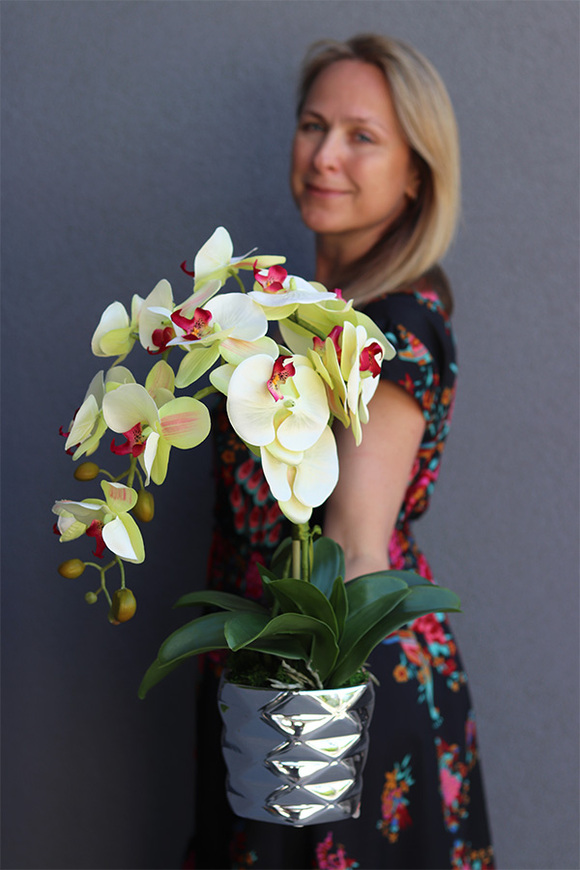 Amanista Ramona, limonkowy storczyk w lustrzanej donicy, wys.50cm 