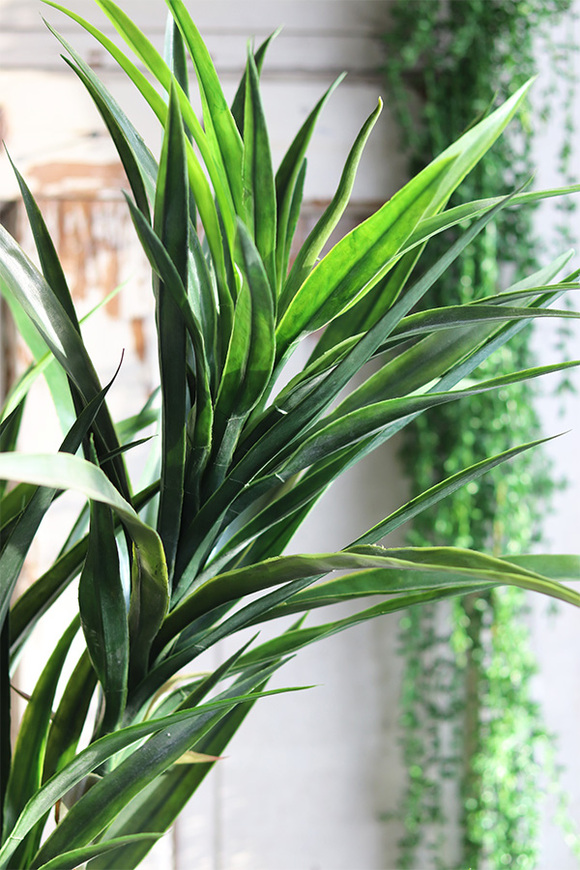 Juka Fiberglass, sztuczna roślina w donicy, wys.166cm