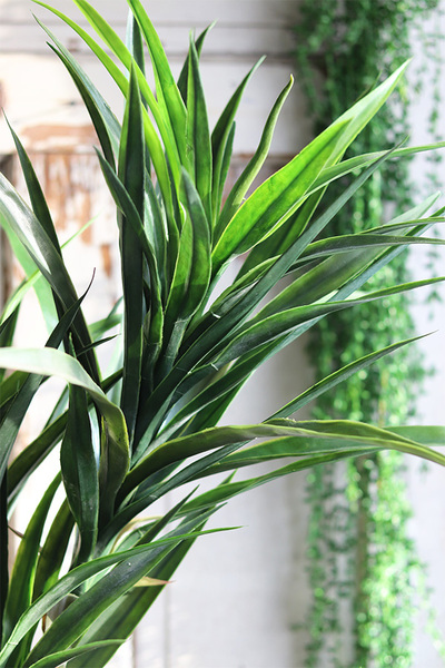 Juka Fiberglass, sztuczna roślina w donicy, wys.166cm