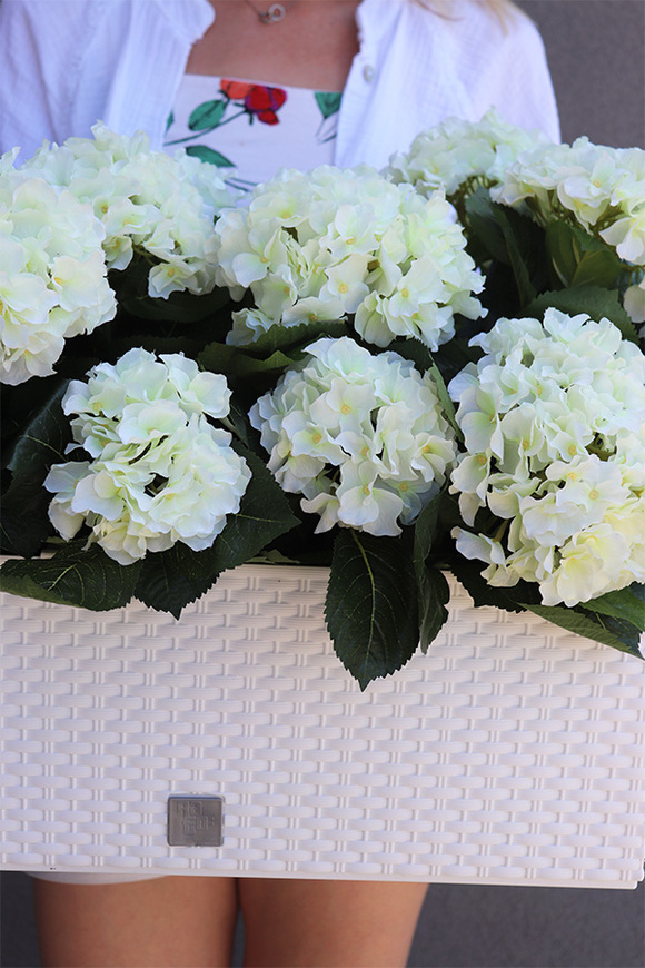 Hortensje Biel, sztuczne kwiaty na balkon i parapet