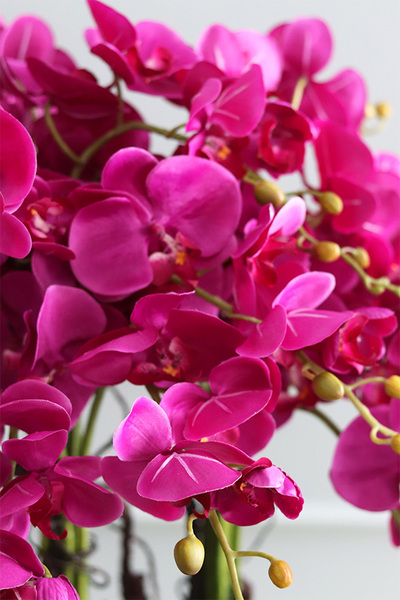 bardzo duży storczyk fiberglass, Grande Belezza Fuksja, wys.95cm 