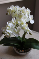 Mini Piano, sztuczny storczyk w lustrzanej donicy