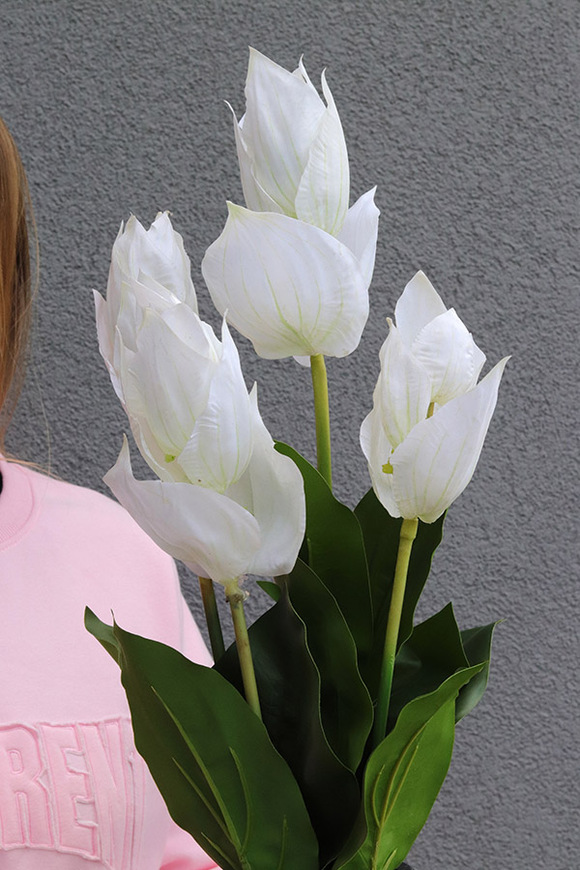 Clear Design Medinilla, nowoczesny bukiet nagrobny we wkładzie