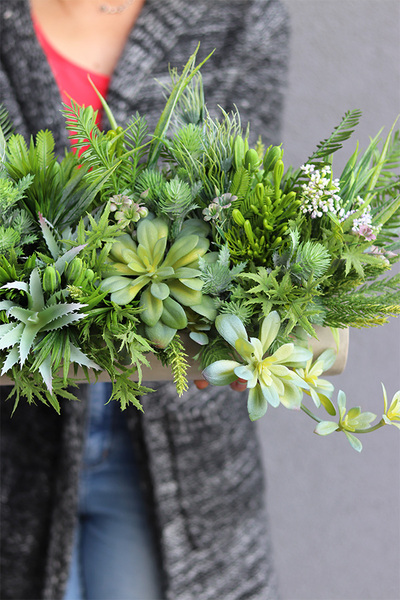 kompozycja sukulenty w długiej donicy, Hektor F